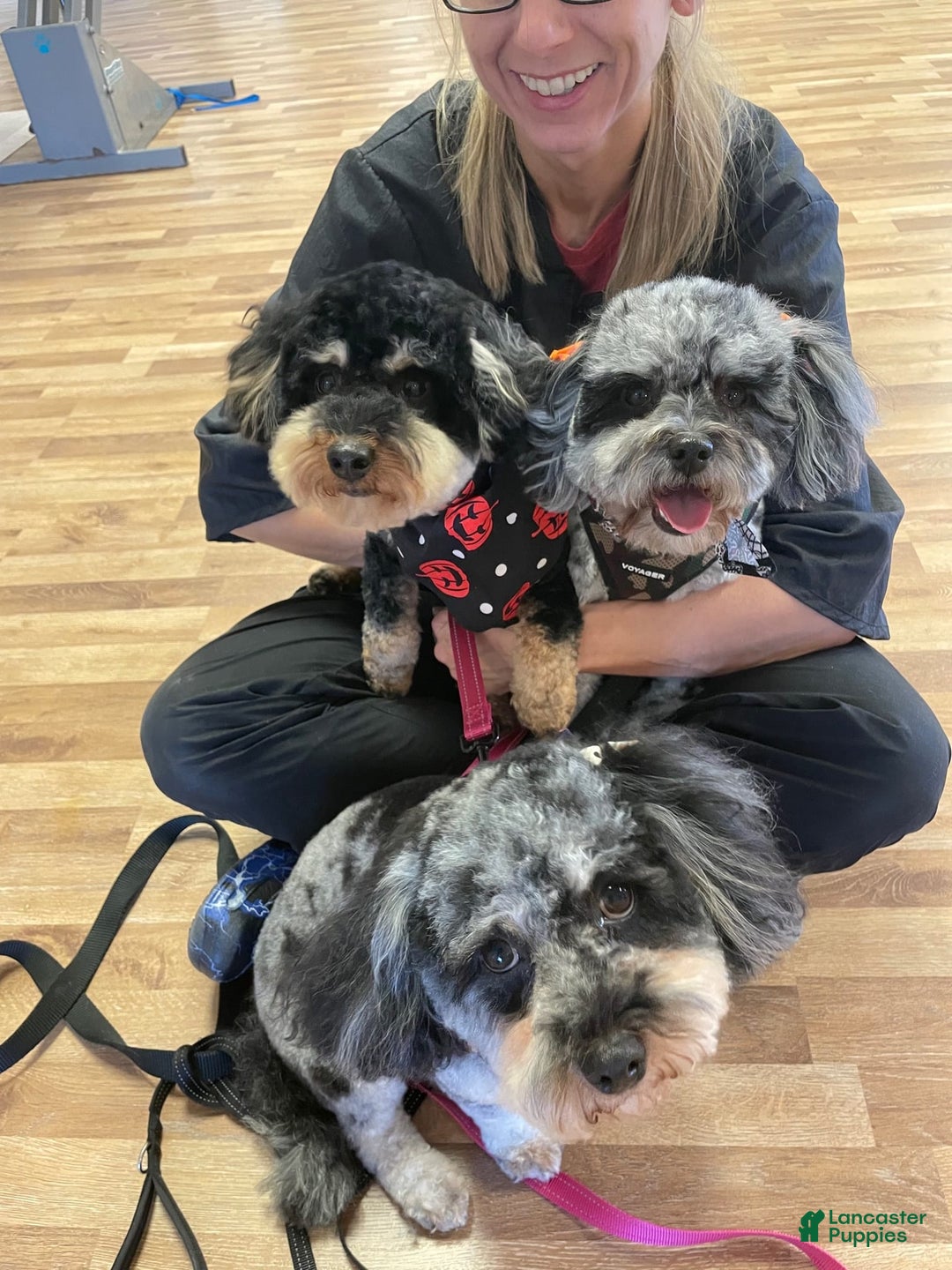 Gallery Image {{count}}