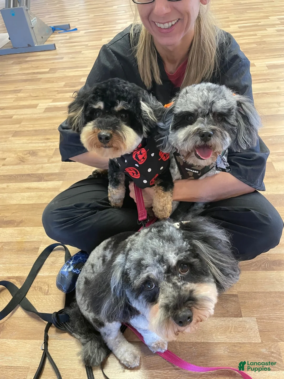 Gallery Image {{count}}