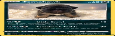 Tomahawk 