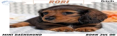 Rori