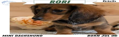 Rori