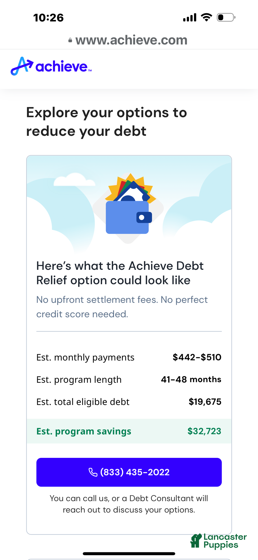 Yorkshire Terrier dogs for sale: Moes Tiny baby boy - Ad 7