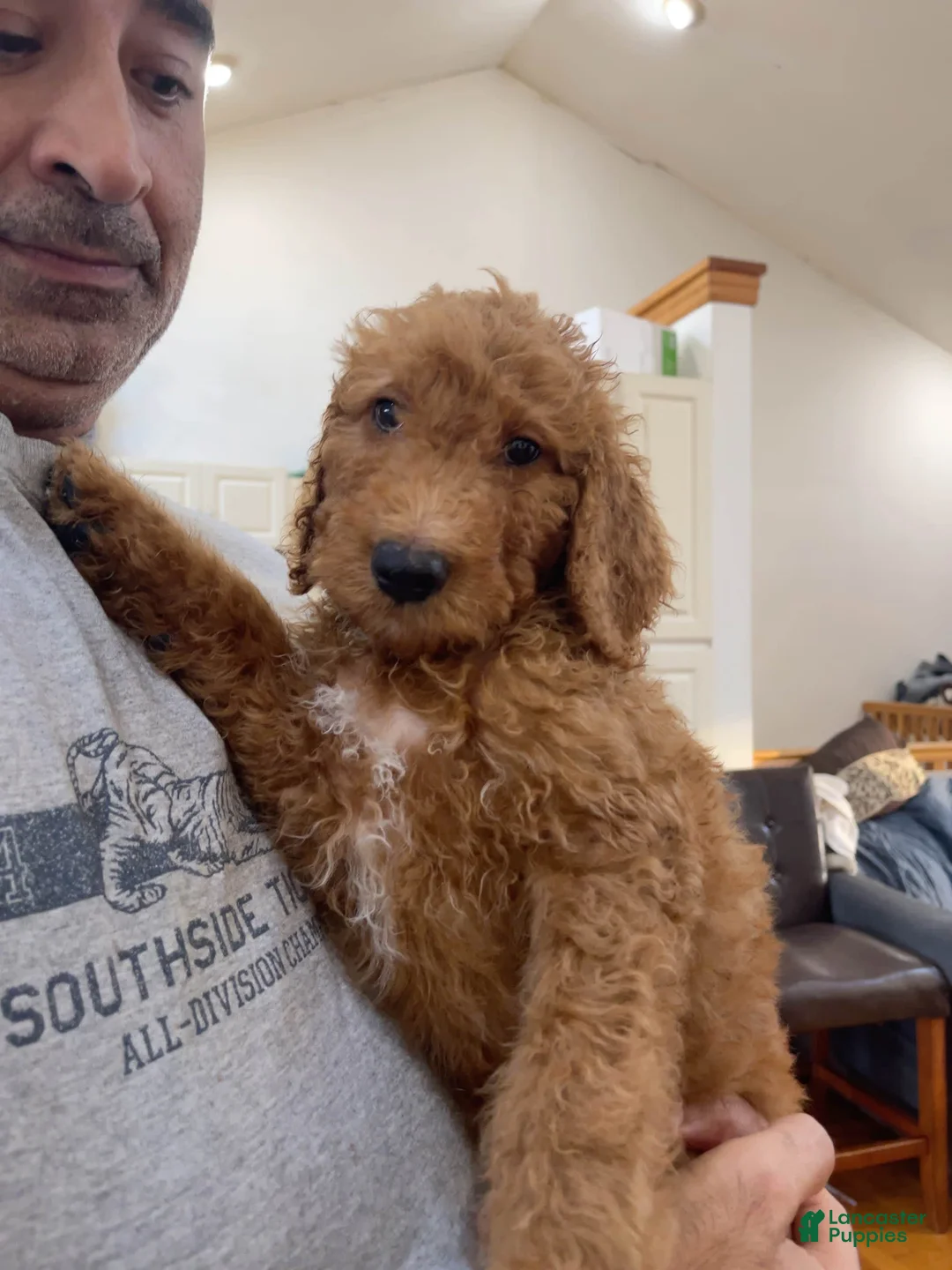 Gallery Image {{count}}