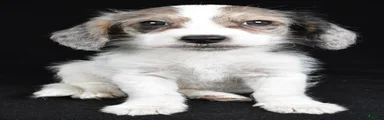 Tina