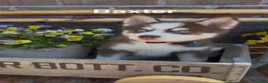 Baxter