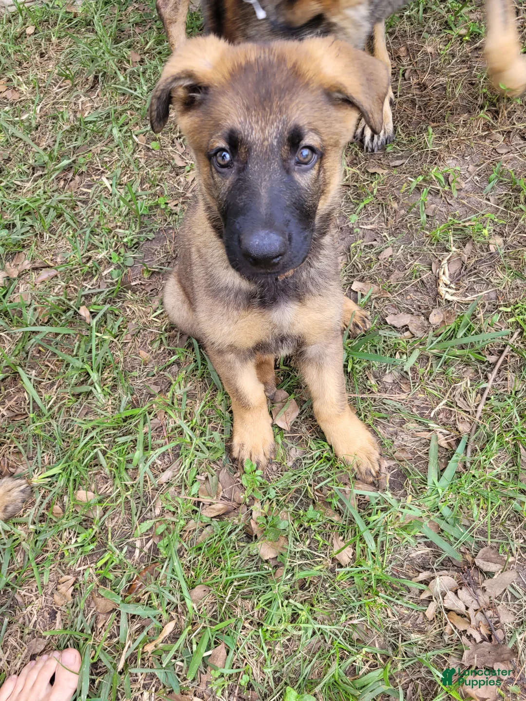 Gallery Image {{count}}