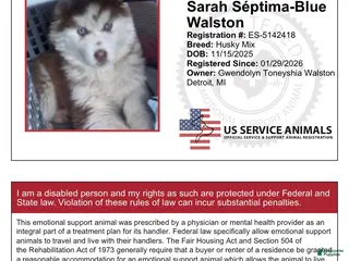 Mixed Breed dogs Mixed Breed Puppy 2 - Ad 9