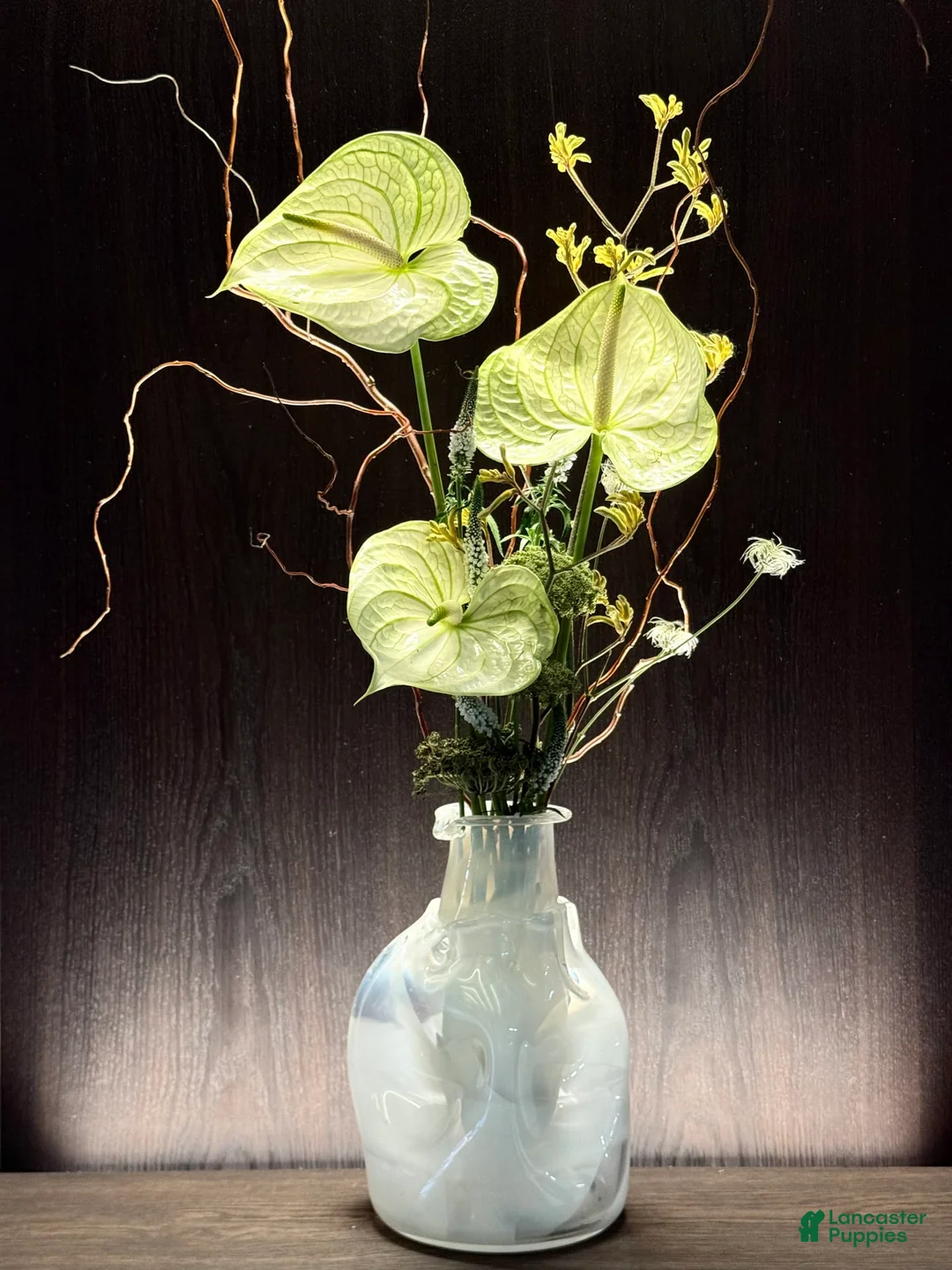 Gallery Image {{count}}