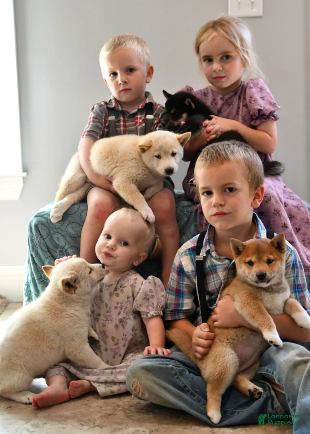 Gallery Image {{count}}