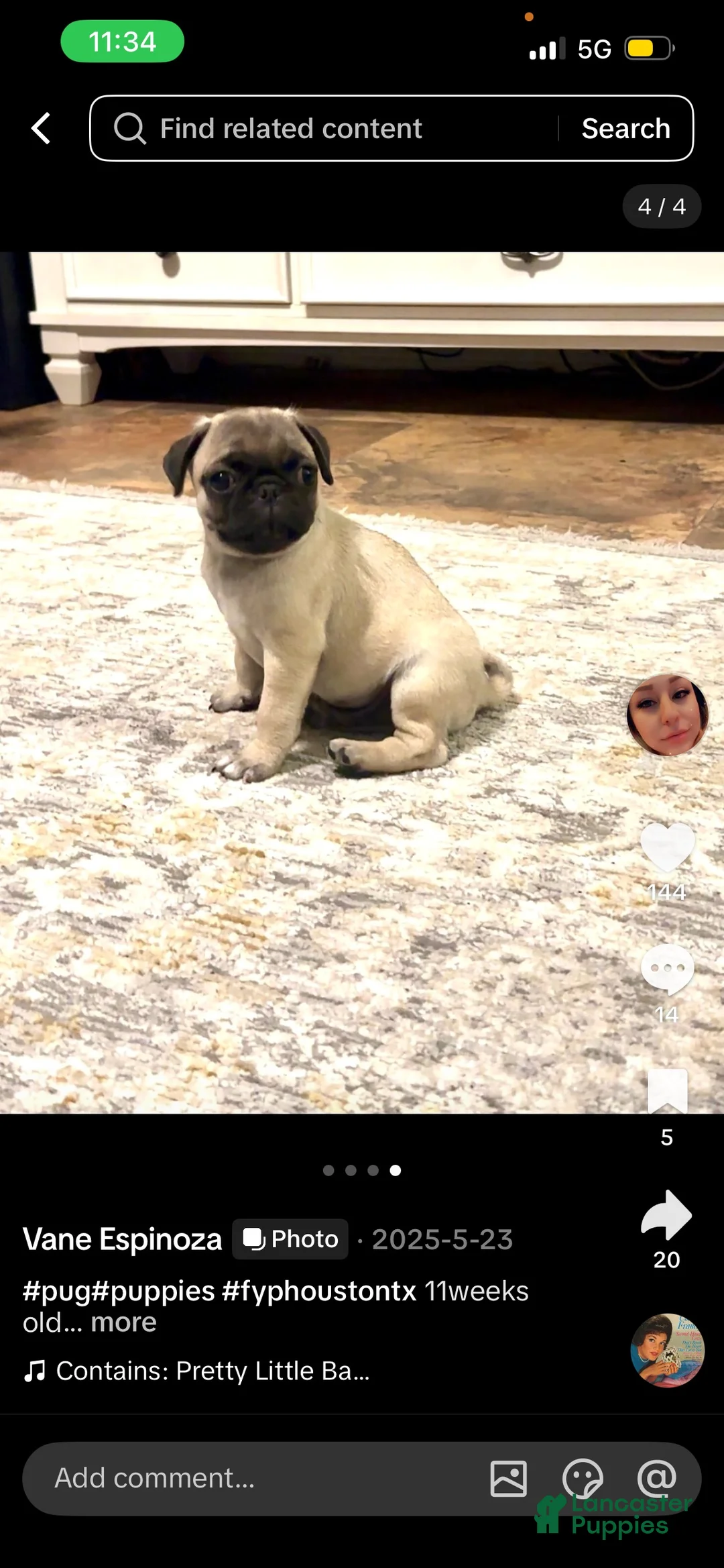 Gallery Image {{count}}