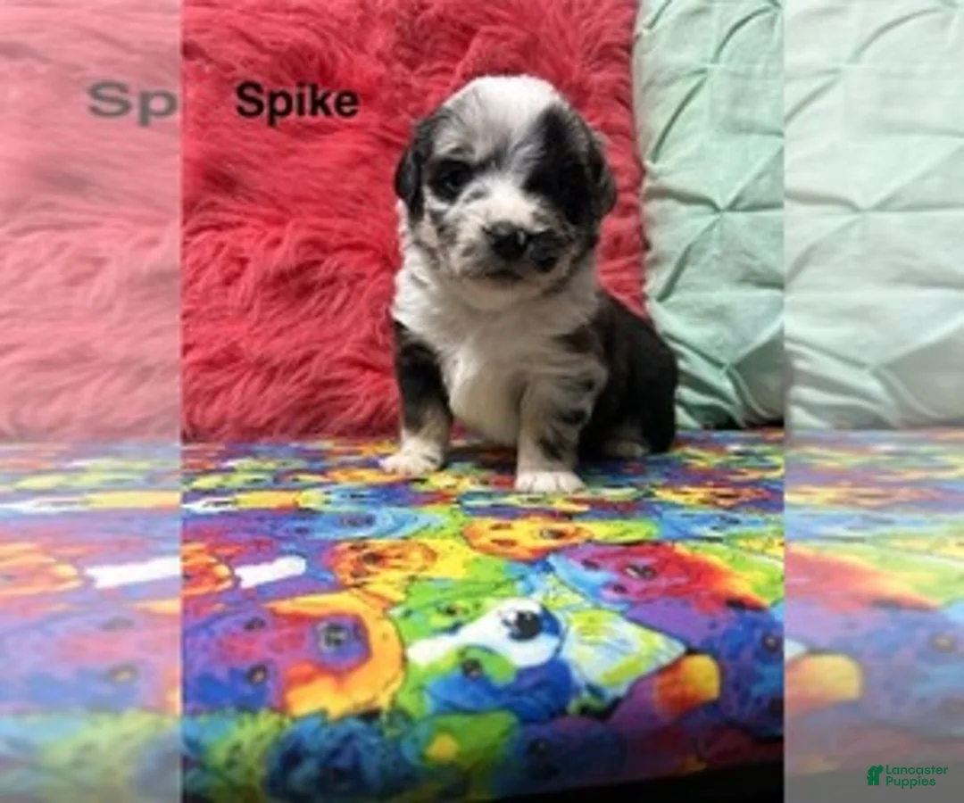 Gallery Image {{count}}