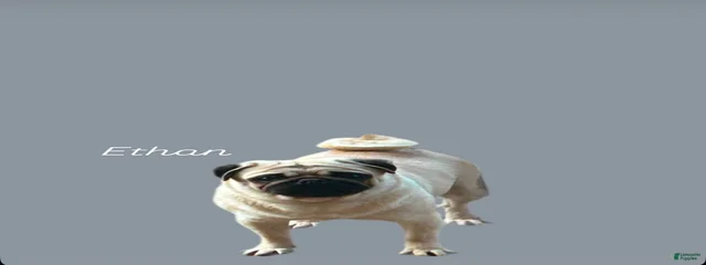 Ethan