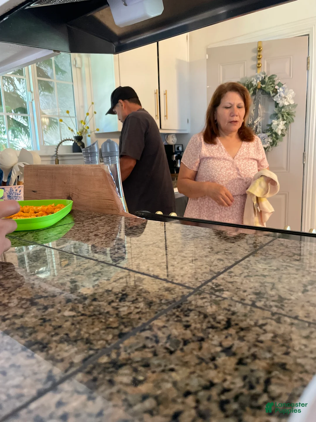 French Bulldog dogs for sale: French Bulldog 1 - Ad 3