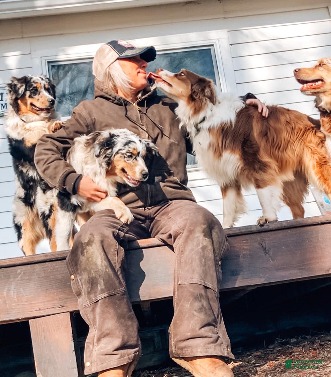 Gallery Image {{count}}