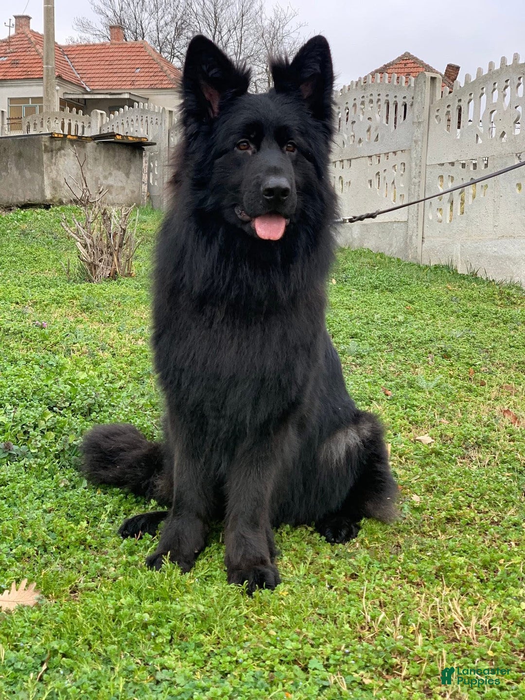 Gallery Image {{count}}