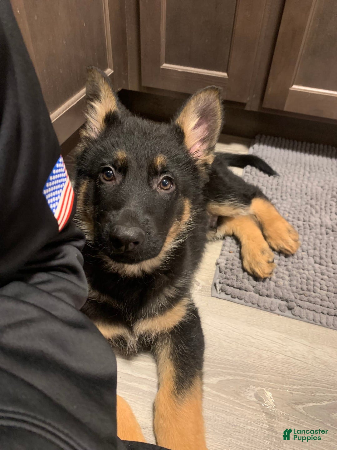 Gallery Image {{count}}