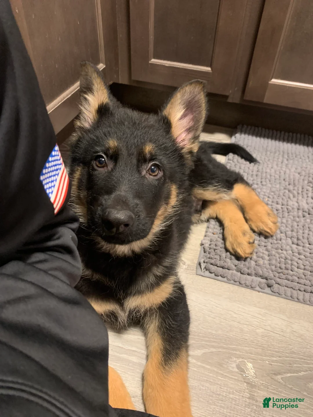 Gallery Image {{count}}