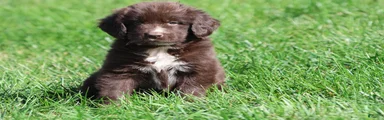 Double Fudge