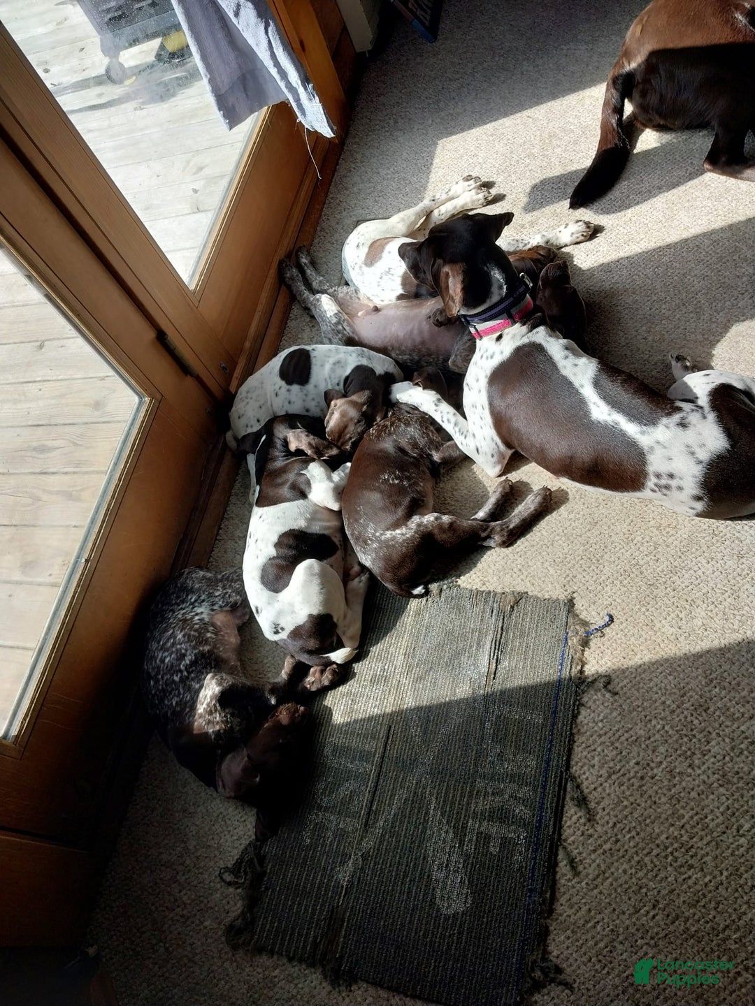 Gallery Image {{count}}