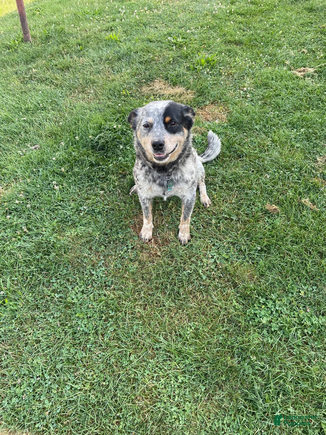 Gallery Image {{count}}