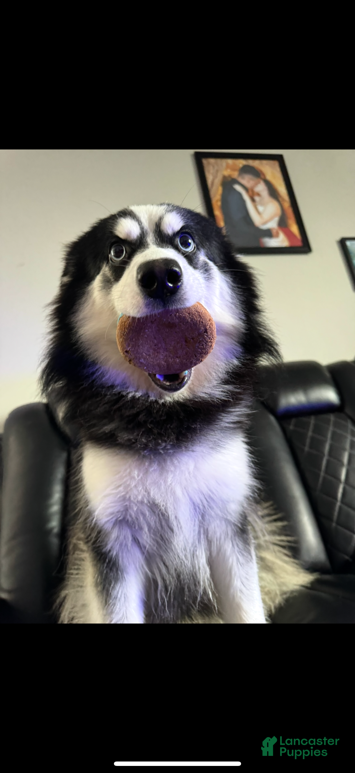 Zero