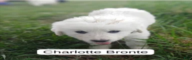 Charlotte Bronte