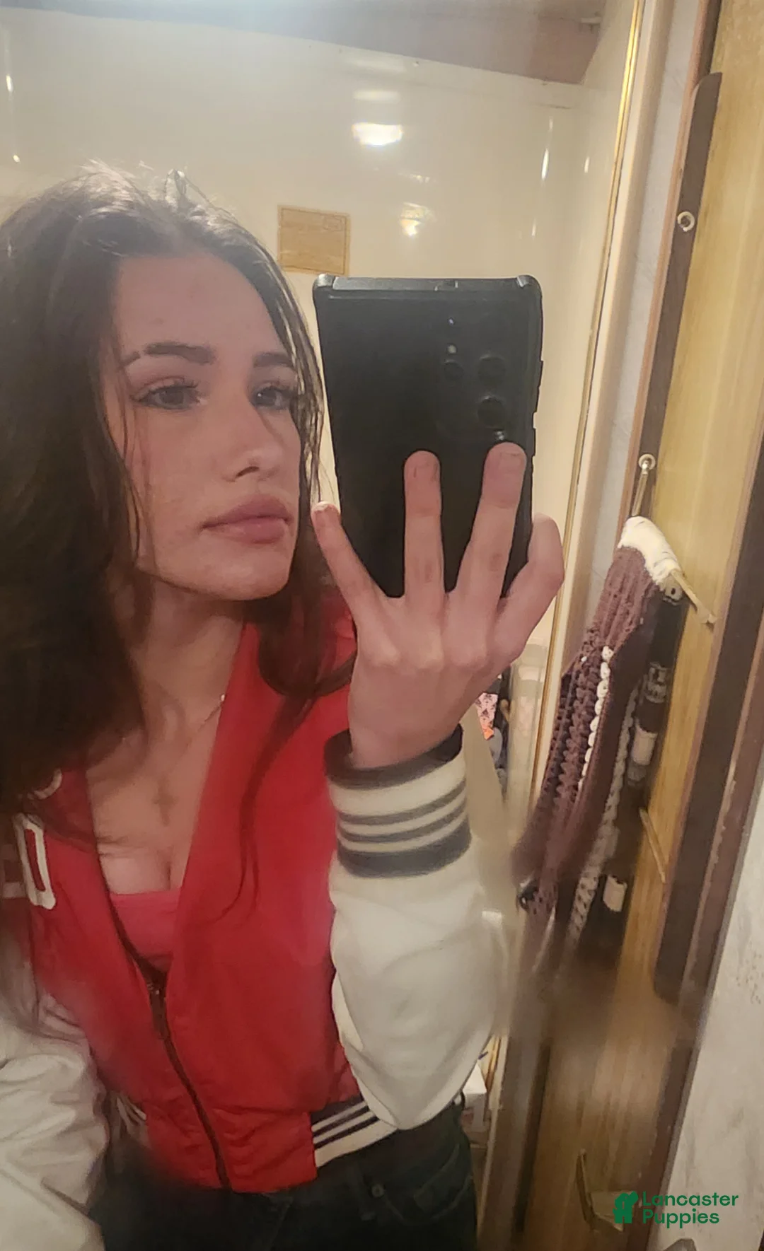 Gallery Image {{count}}