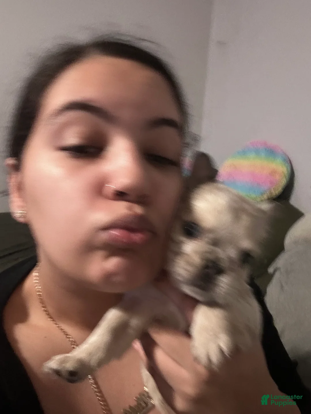 Gallery Image {{count}}