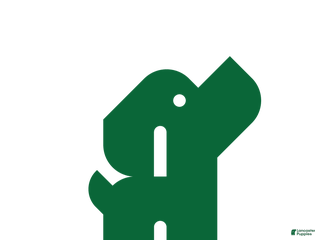 Pomeranian dogs Sweet Benji - Ad 30