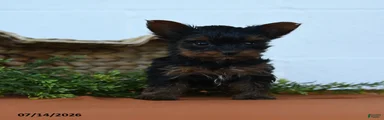 Kya