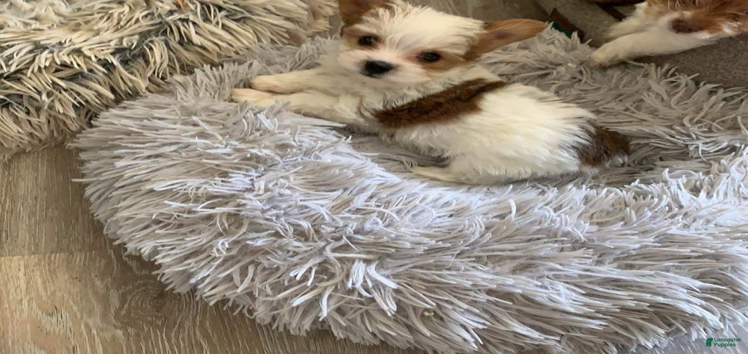 Gallery Image {{count}}