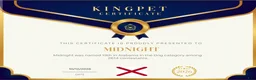 Chihuahua dogs for sale: Midnight-Chocolate  - Ad 10