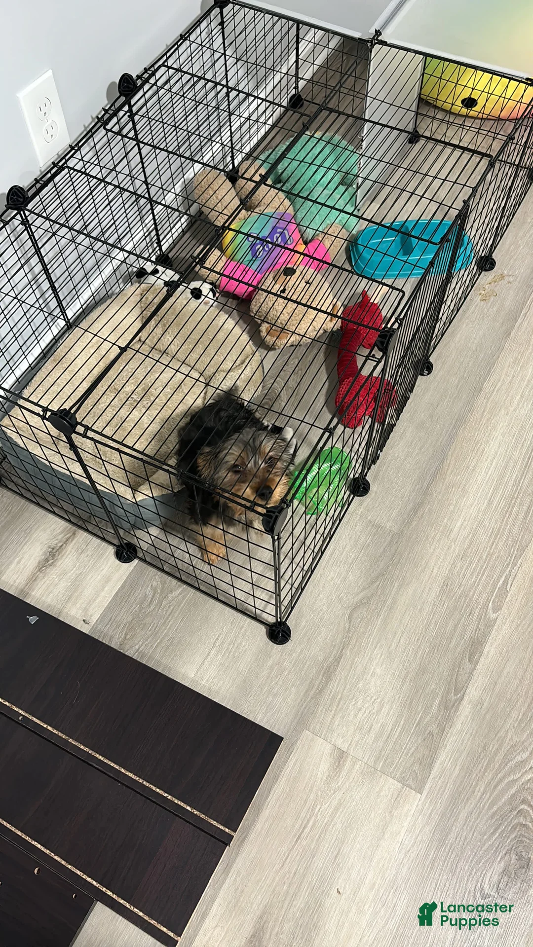 Gallery Image {{count}}