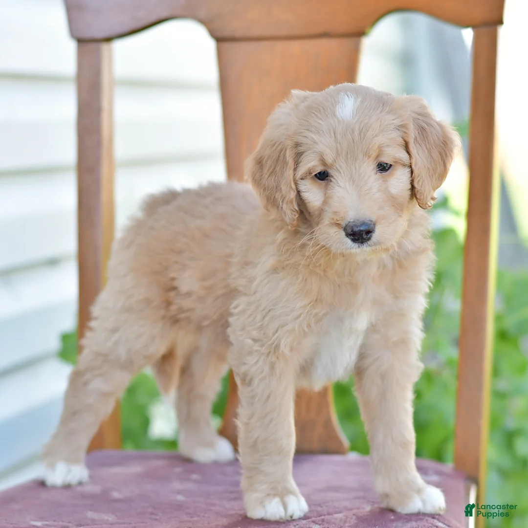 Gallery Image {{count}}