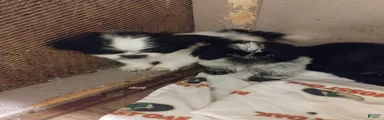 trouble