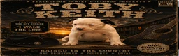 American Bulldog dogs for sale: Toby Keith - Ad 1