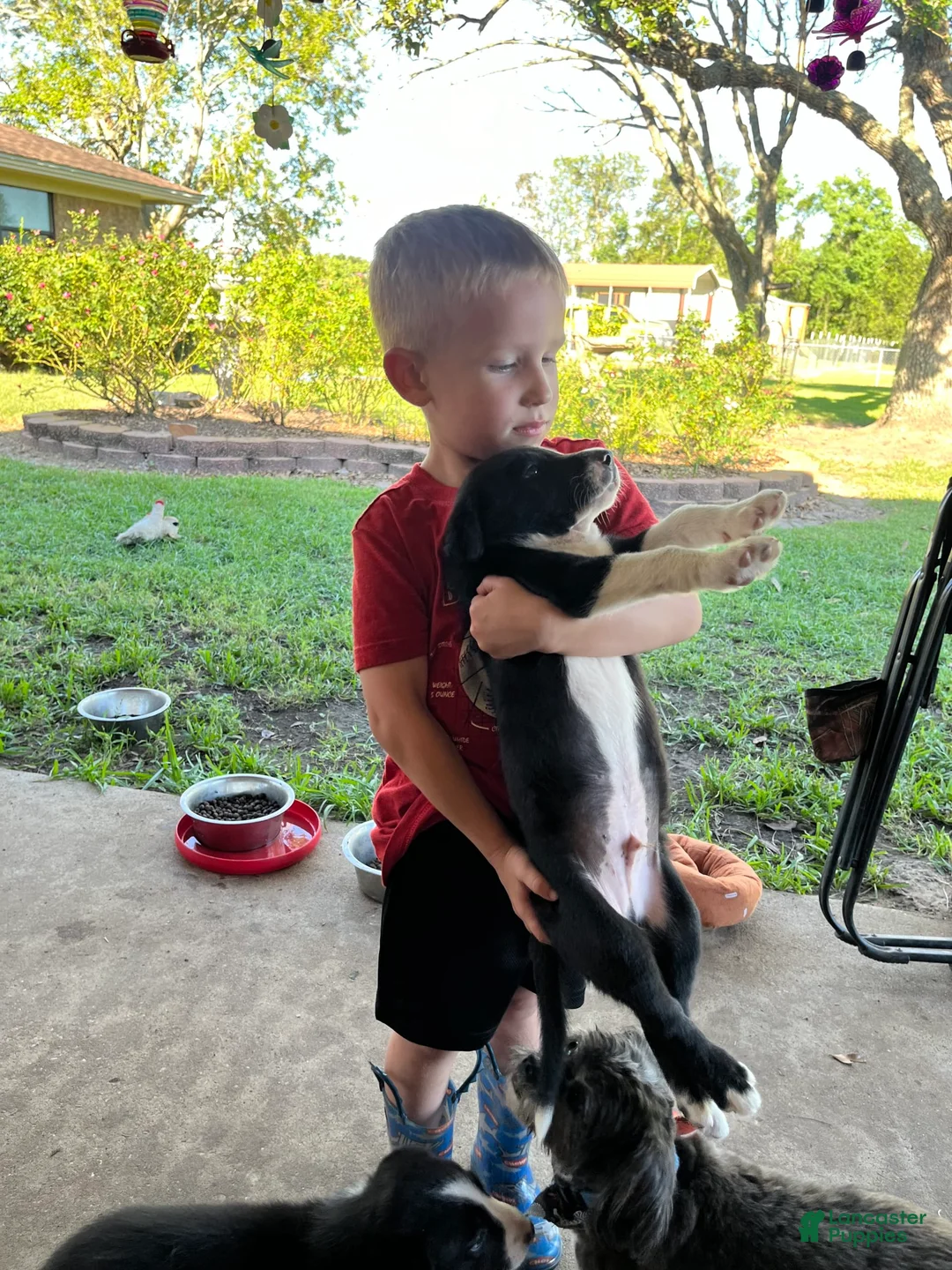 Gallery Image {{count}}