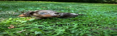 Male One