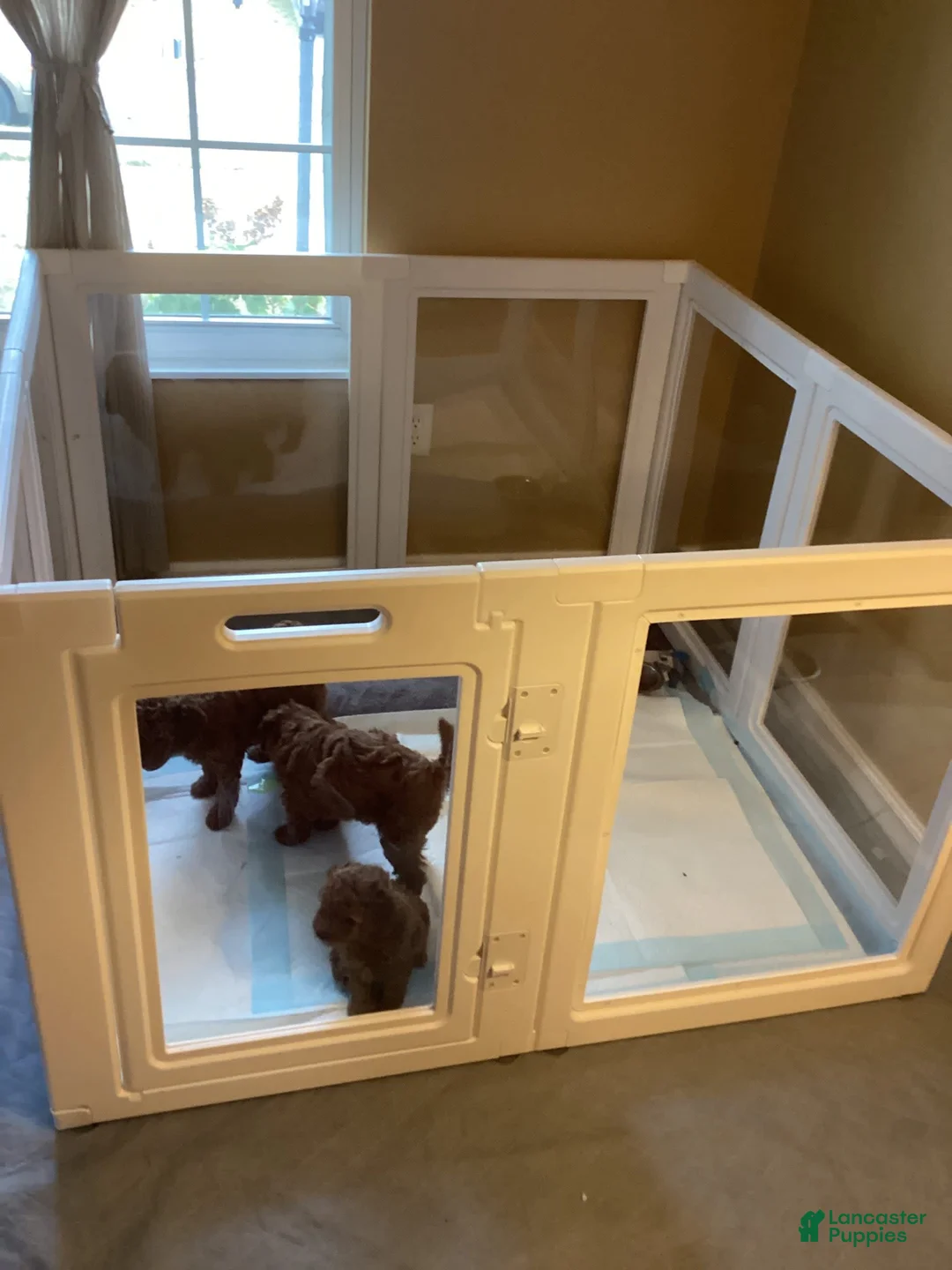 Gallery Image {{count}}