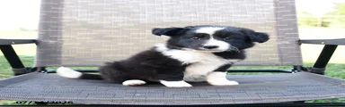 Tina