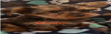 Bobby Male