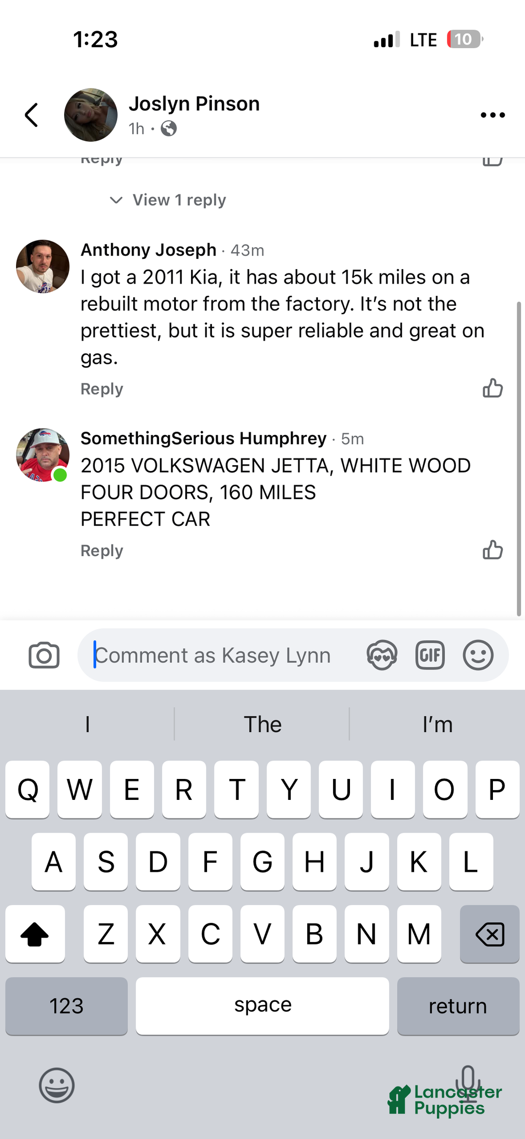 American Bully dogs for sale: Milli - Ad 20