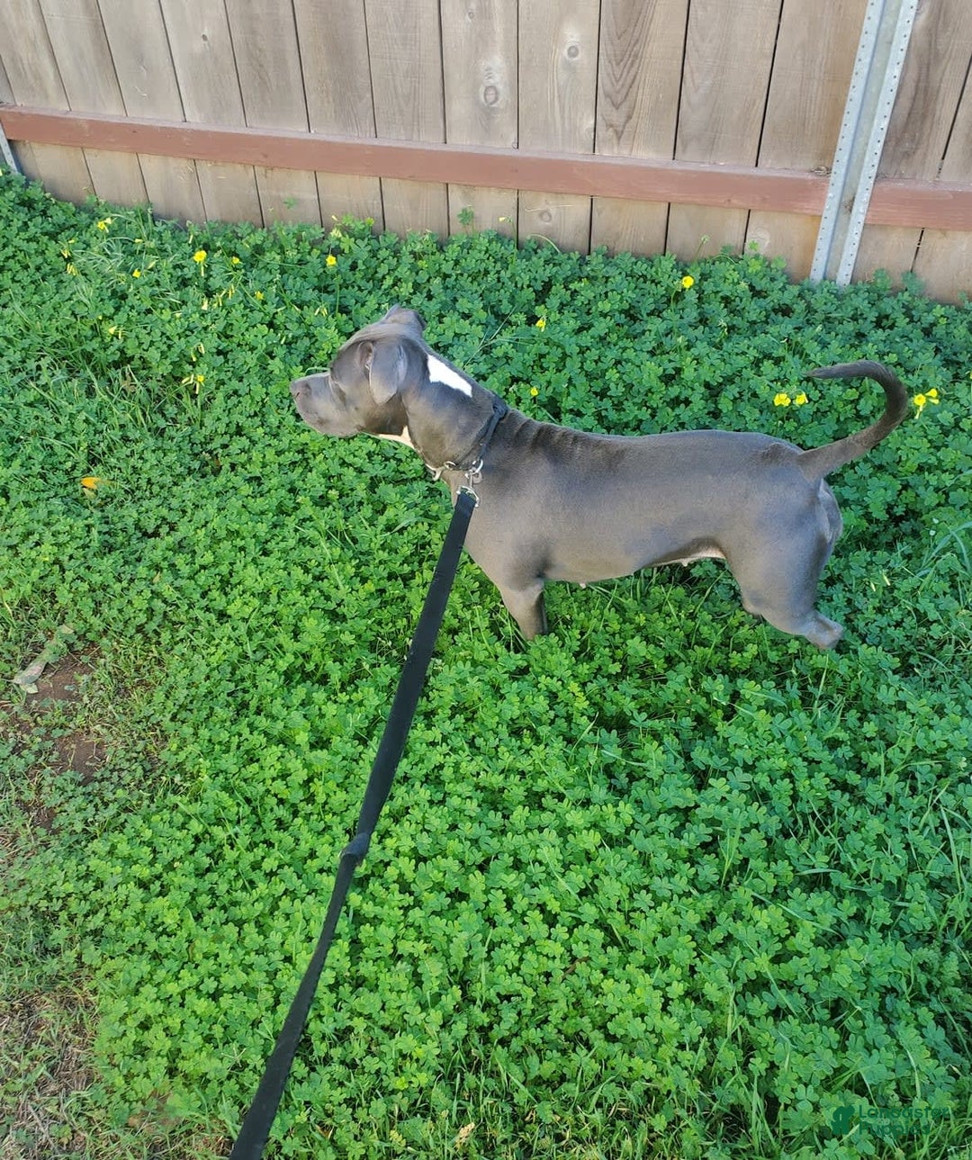 Gallery Image {{count}}