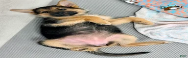 Axle