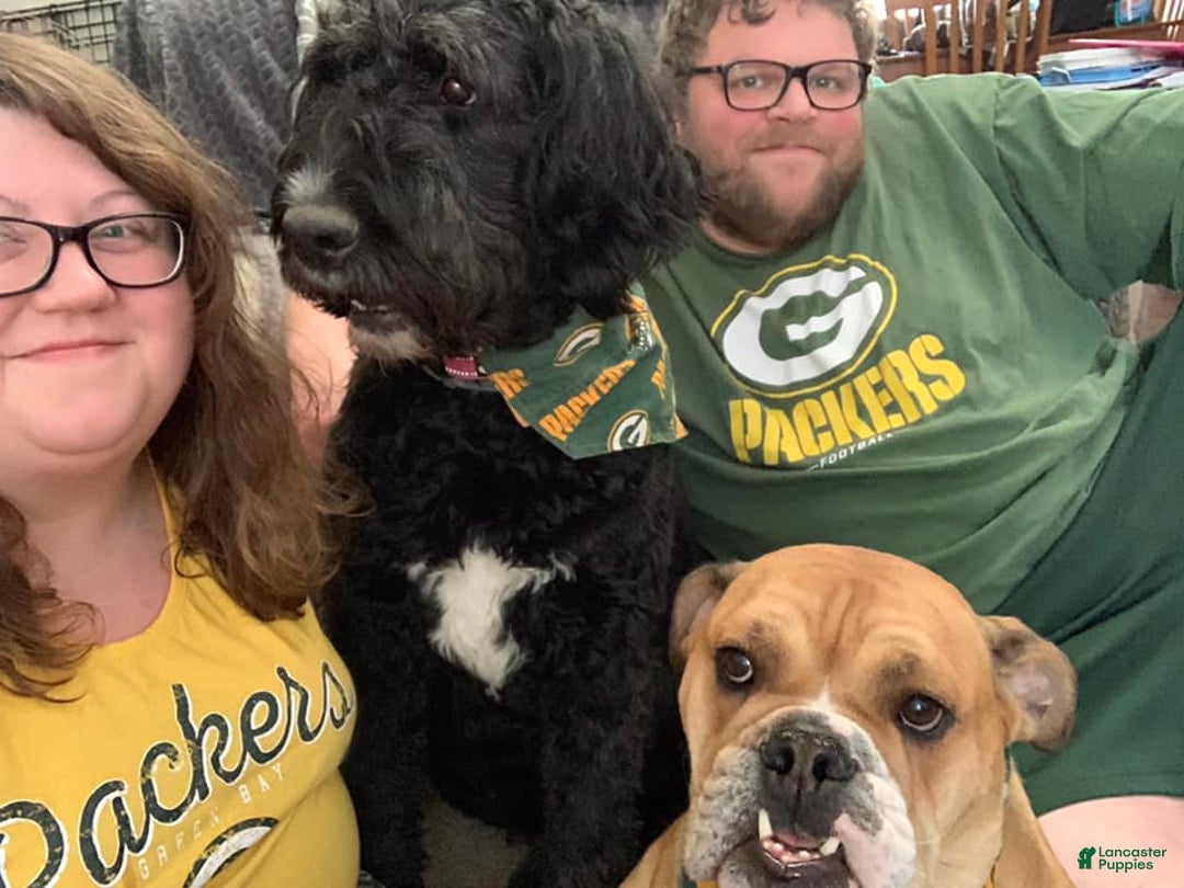 Gallery Image {{count}}