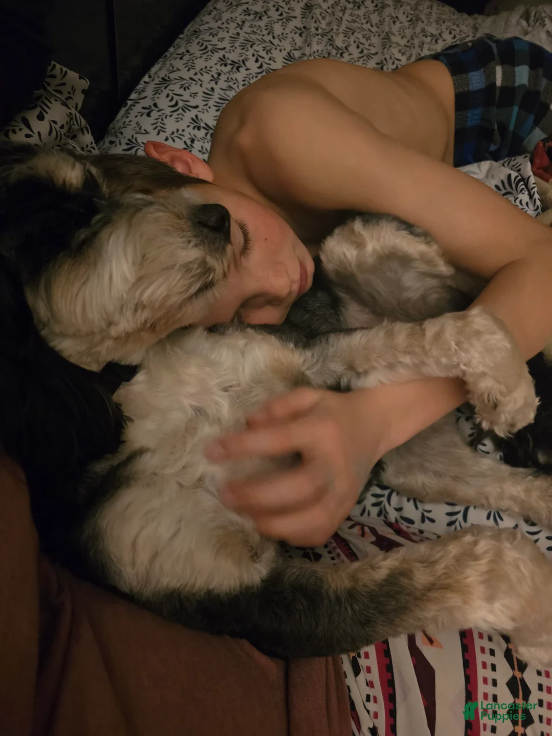 Gallery Image {{count}}