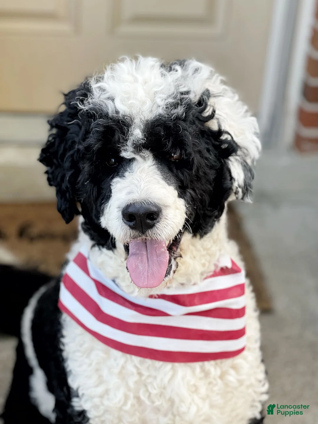 Gallery Image {{count}}