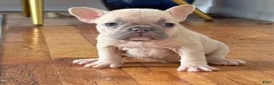 Winnie