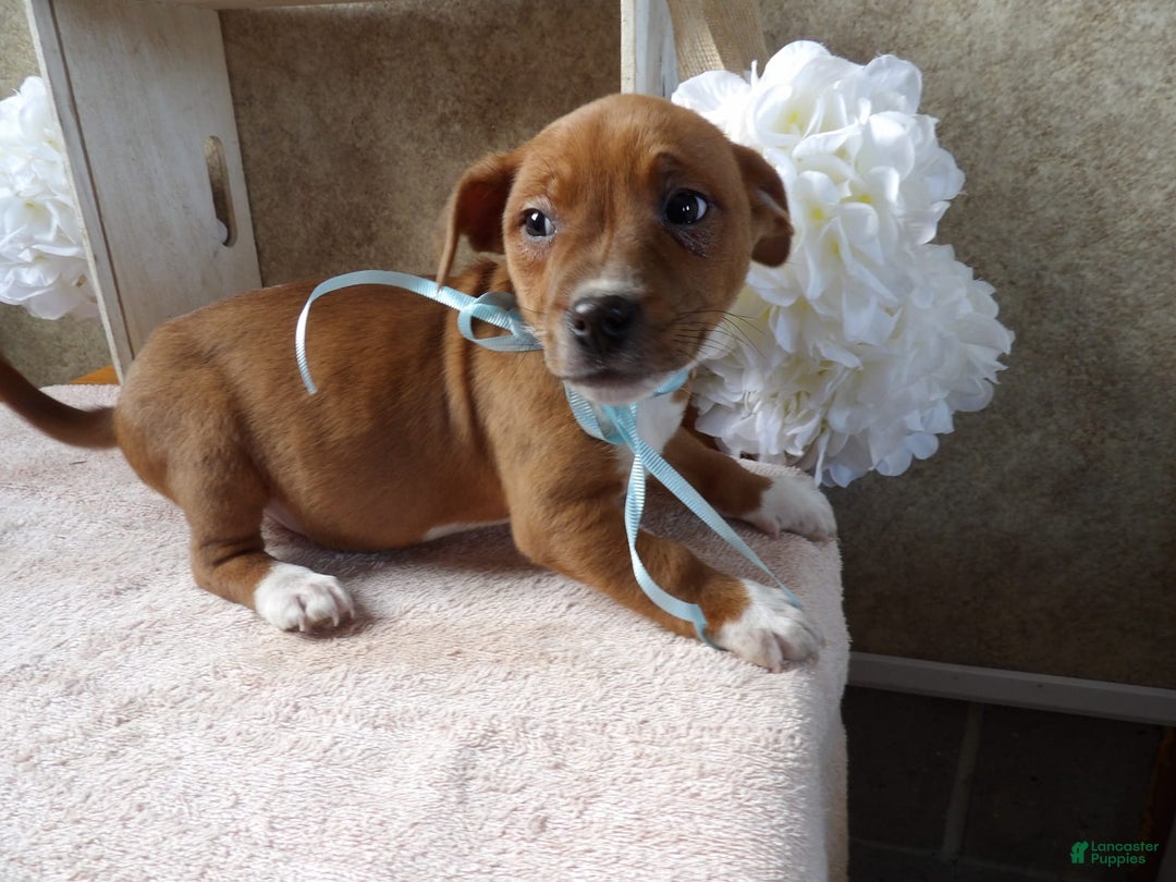 Gallery Image {{count}}