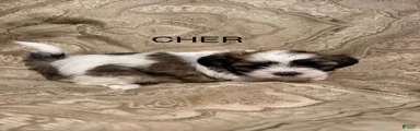 Cher